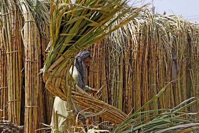 Boosting per acre yield to ensure food security in Pakistan: Expert