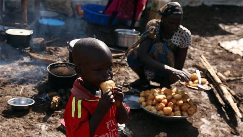 Nearly 26 million people in Sudan are 'acutely hungry': UN