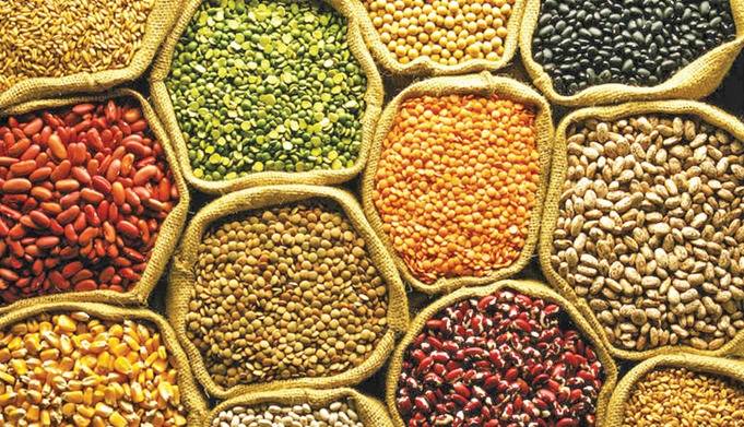 Mills decry govt’s plan to impose withholding tax on pulses