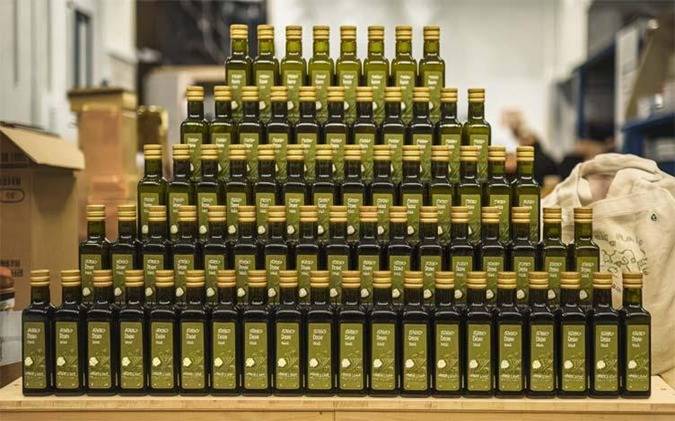 Olive cultivation to boost Pakistan’s economy, make farmers prosperous