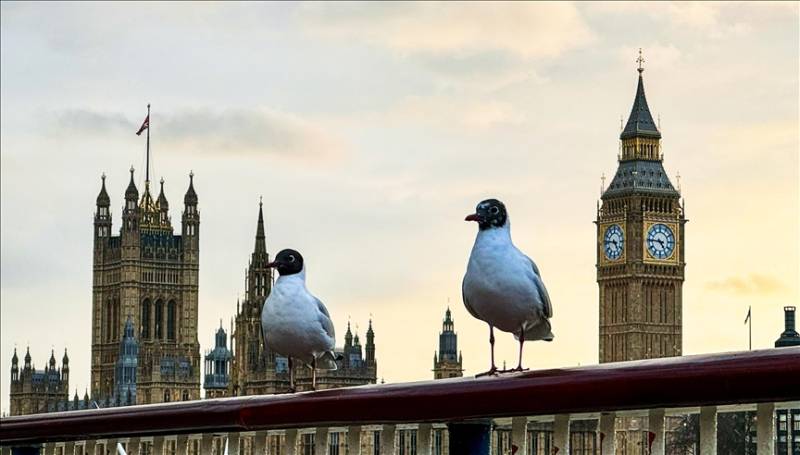 UK govt moves to abolish hereditary peers from House of Lords