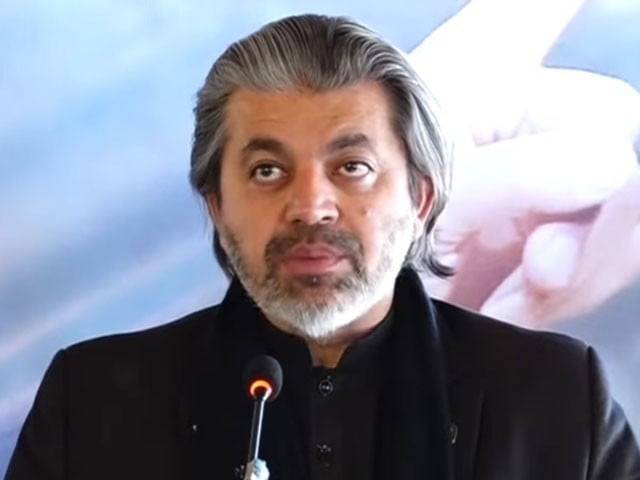 PTI's Ali Muhammad Khan accuses government of targeting judiciary