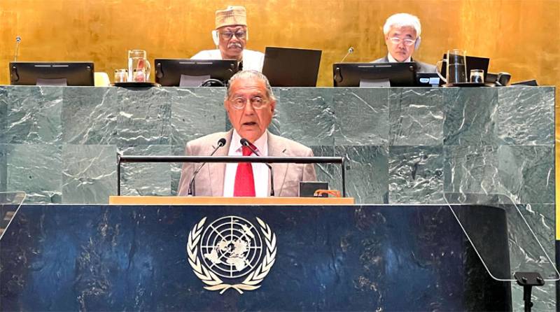 Pakistan calls on UN member states to promote Palestinian self-determination