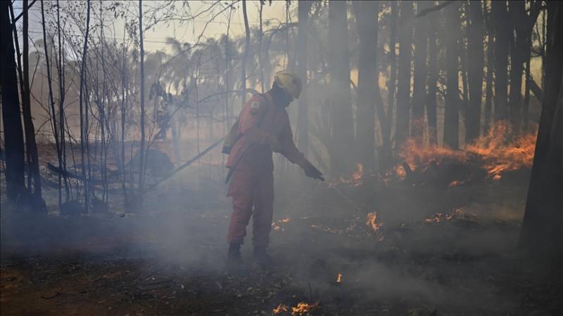  Peru declares state of emergency over deadly forest fires