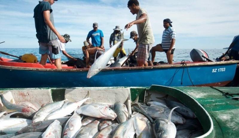 Policy incentives being firmed up to boost Balochistan’s fisheries sector