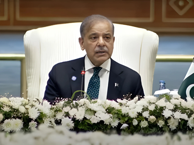 PM Shehbaz calls for regional cooperation, inclusivity at SCO summit in Islamabad