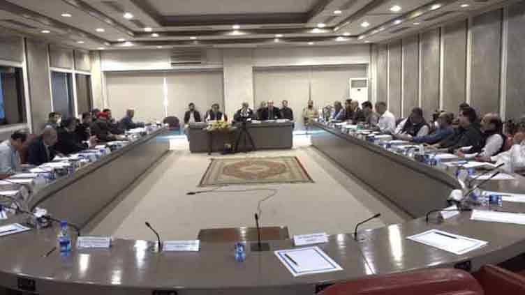 Parliamentary committee approves constitutional amendment draft