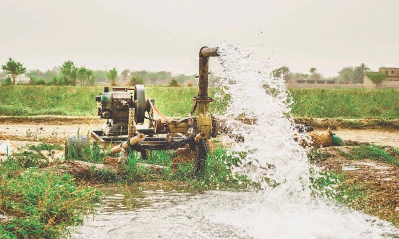 Pakistan urged to adopt water-saving agriculture to address looming crisis