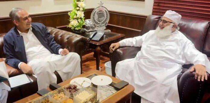 Interior Minister Naqvi meets Fazl-ur-Rehman to discuss matters of national interest