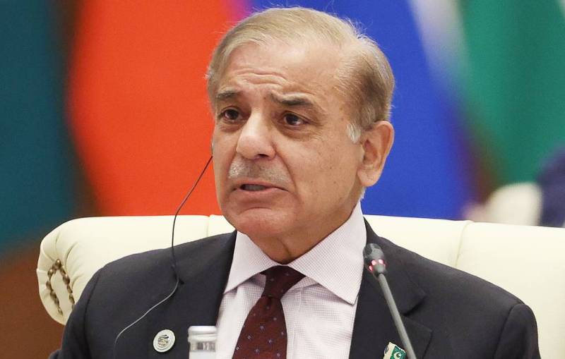 PM Shehbaz Sharif highlights terrorism as key obstacle to progress