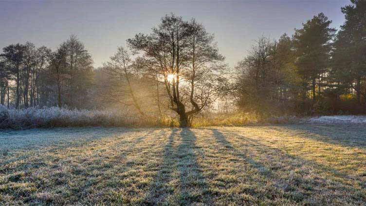 Cold dry weather continues; fog expected in Punjab and Sindh