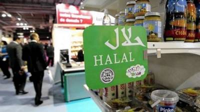 Pakistan needs to capture Halal industry to prop up 