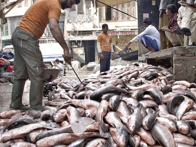 Lahore market exports fish to over 15 countries