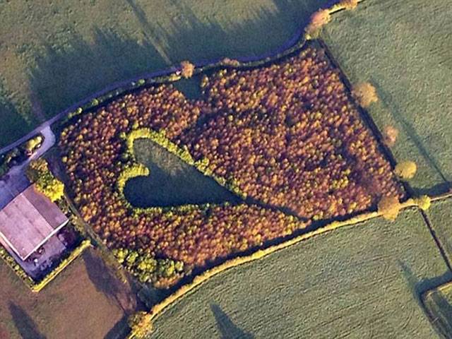 Love is... a heart-shaped wood