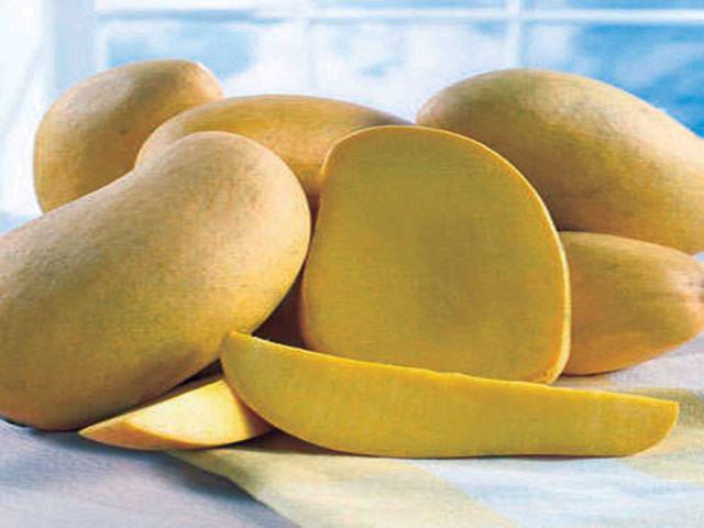 Pakistan produces over 150 varieties of mango