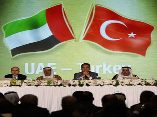 UAE to join Turkey N-power project 