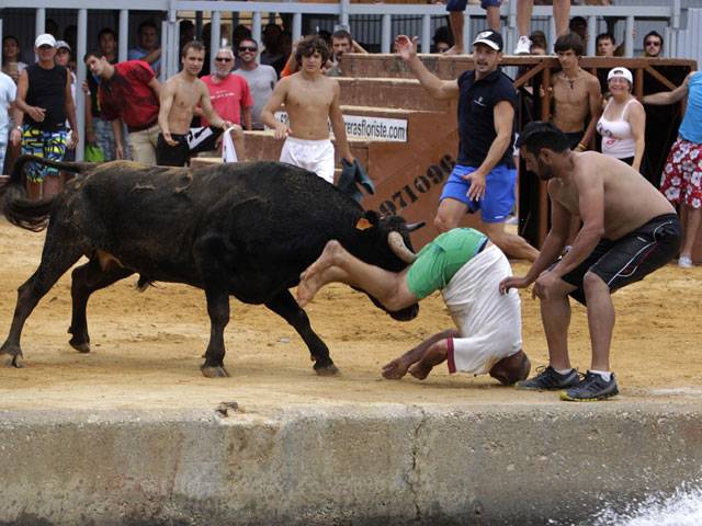 Spain bull run