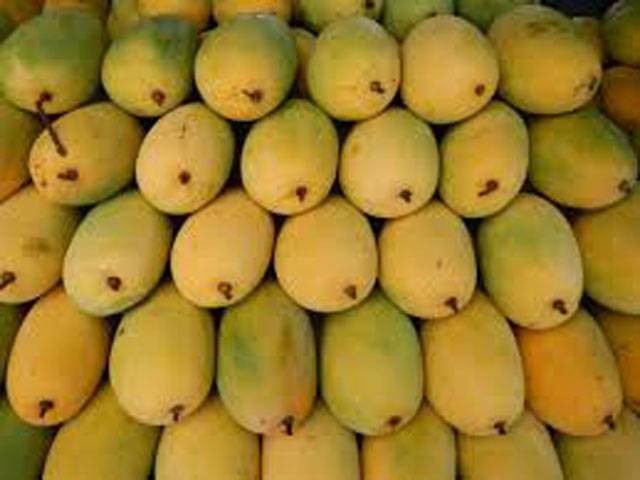 Govt introduces hot water treatment plants for mangoes 