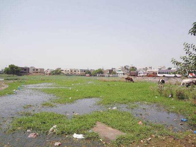 Sialkot bus stand a permanent nuisance for passengers