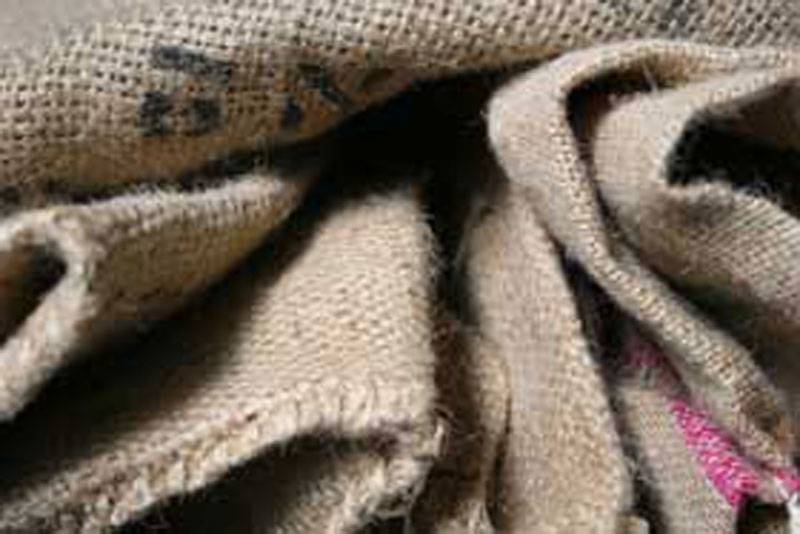 Industry needs govt support for export of jute products