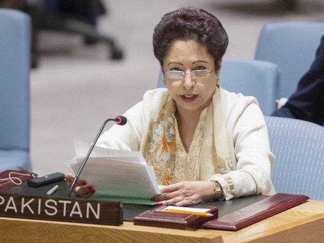 At UN, Pakistan calls for delinking terror from religion