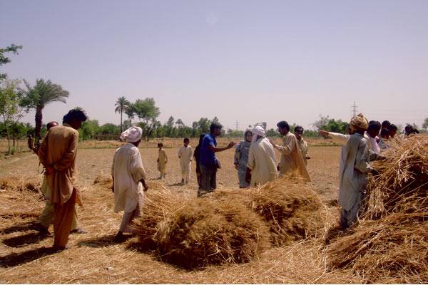 Agricultural terrorism and poor farmers