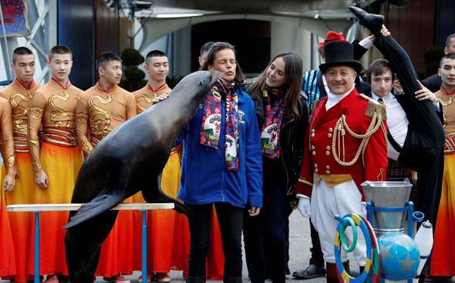 Circus Festival in Monaco