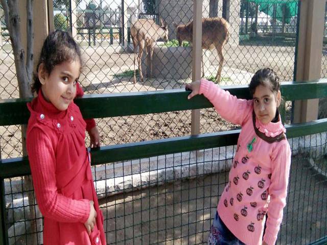  Children are playing newly City land Park in Jhelum