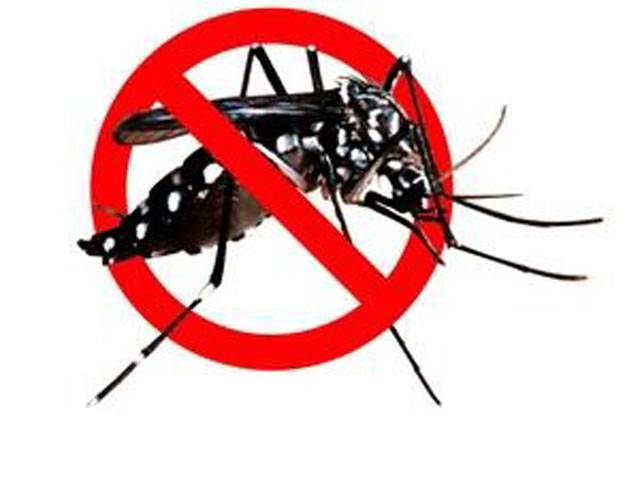 Anti-dengue vaccine suspended: DRAP