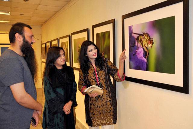 Macro-photography exhibition held in Islamabad