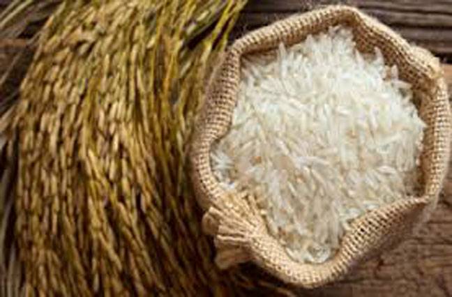 Rice output likely to touch 9m tonnes