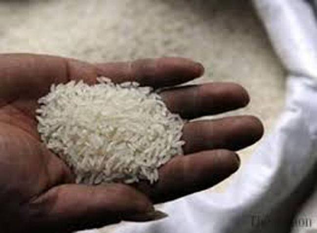 Industry status for rice sector can lift export by 30pc