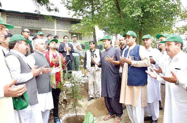 10 Billion Tree Tsunami drive launched