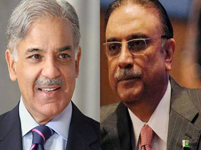 Shehbaz, Zardari make it their day!