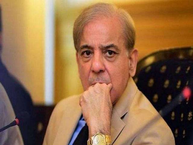 LHC seeks reply from NAB in Shehbaz bail plea