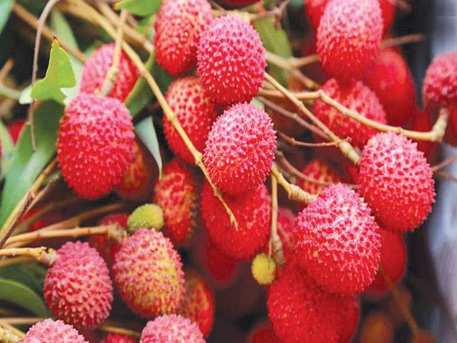 Brain disease linked to lychee toxins kills 47 children