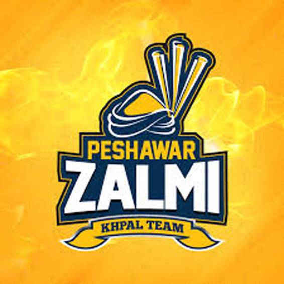 Peshawar Zalmi, SFN join hands to promote MMA in Pakistan