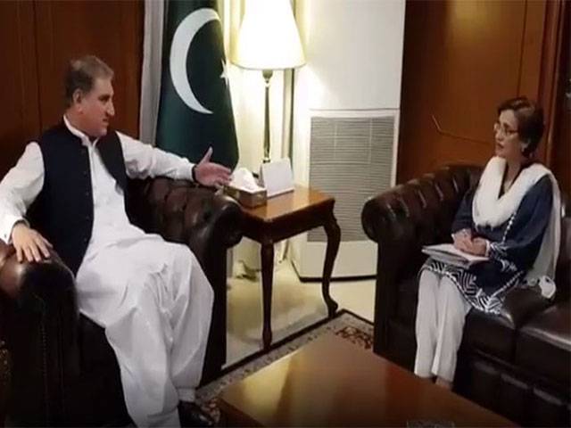 Qureshi, Tehmina discuss diplomatic issues