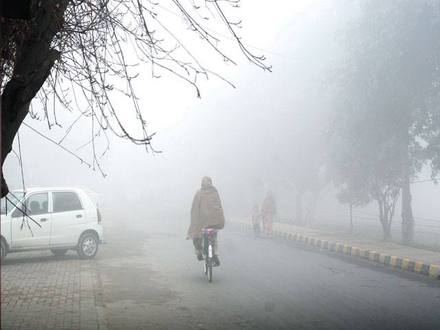 LHC irked by govt failure to fend off smog