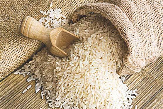 Over 1.601 million tons rice worth $835.686 million exported