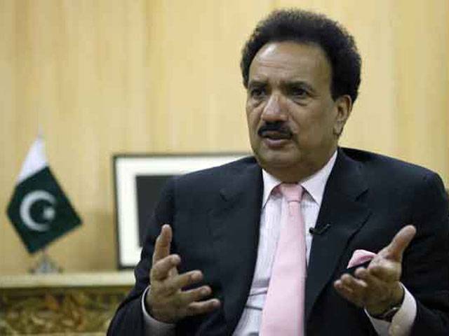 Govt cannot take decisions at will: Rehman Malik