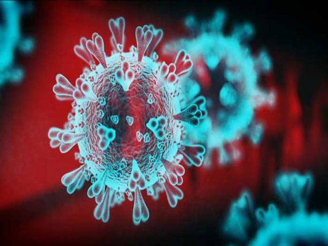 With third death, coronavirus cases near 500