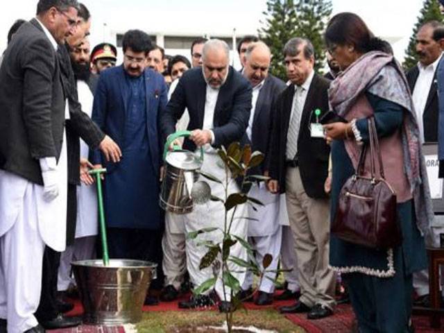 NA Speaker Asad Qaiser launches tree plantation campaign in Swabi