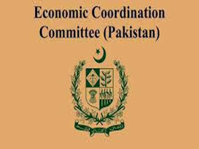 ECC grants Rs19.66 billion for golden handshake scheme for PSM employees