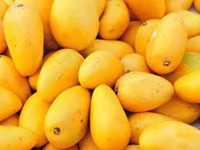 Govt plans to set up Mango Development Council