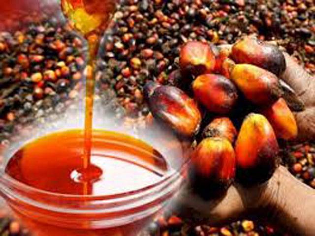 Palm oil imports increase 29.40pc to $876m