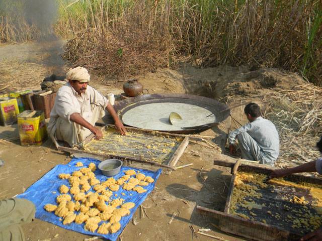 gur-inclusion-into-sugar-hs-code-dents-jaggery-trade-hampers-export-to