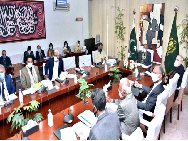 ECC gives final approval to renegotiated pacts with 46 IPPs to clear Rs400b dues