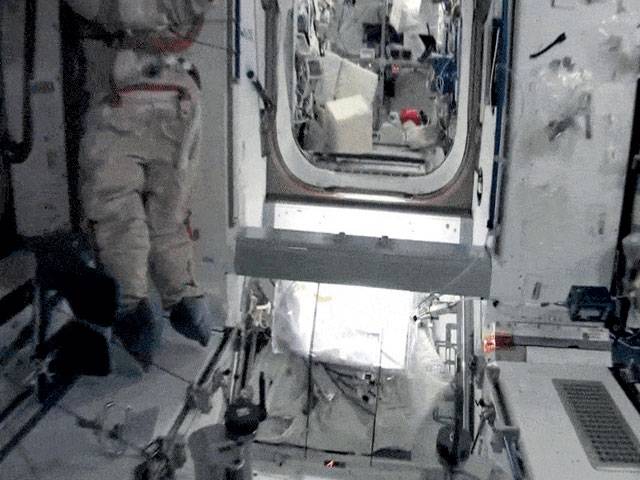 New Bacteria Discovered On Space Station