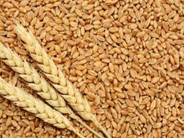 37.6 pc wheat  procurement target achieved in Multan division  